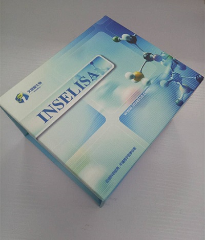 小鼠胰島素原圖片/小鼠胰島素原樣板圖 (2)