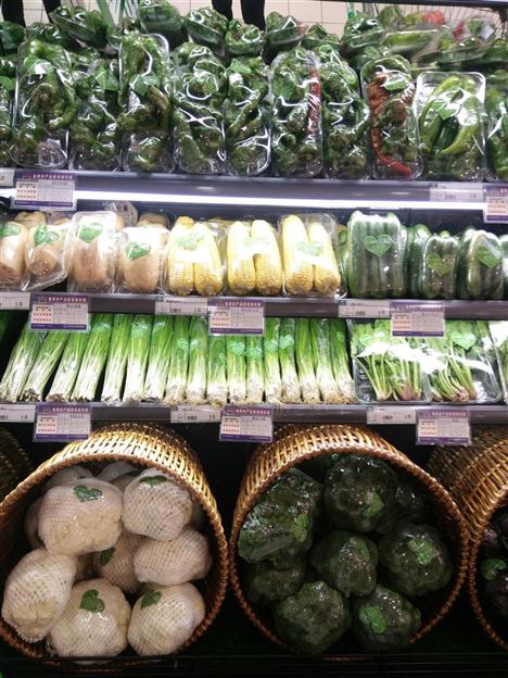 胡蘿卜圖片/胡蘿卜樣板圖 (4)