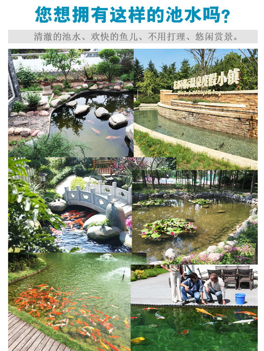 魚(yú)池建造圖片/魚(yú)池建造樣板圖 (1)