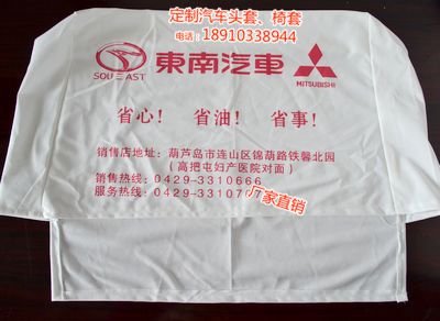 汽車頭套圖片/汽車頭套樣板圖 (1)