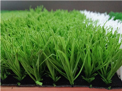 足球場人造草坪圖片/足球場人造草坪樣板圖 (1)