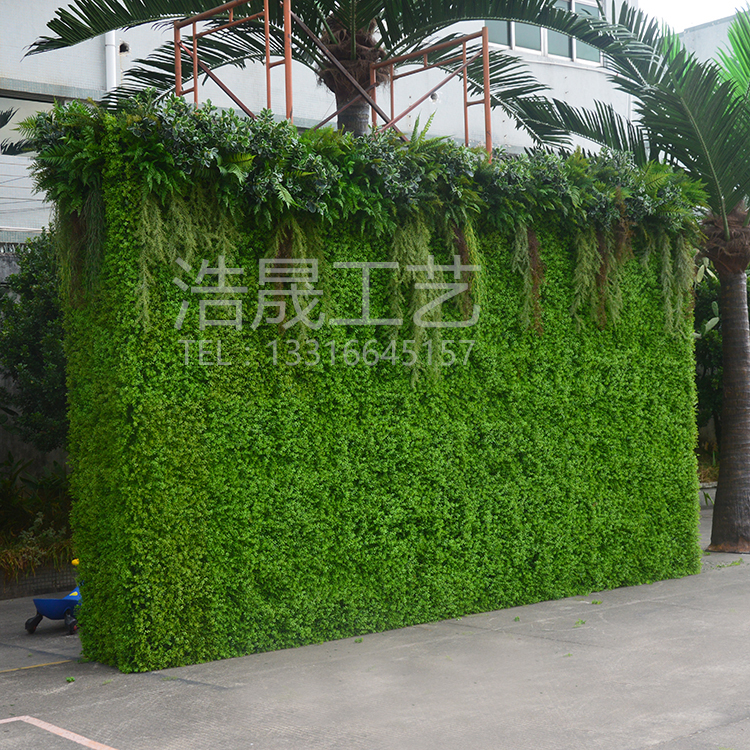 仿真植物圖片/仿真植物樣板圖 (4)