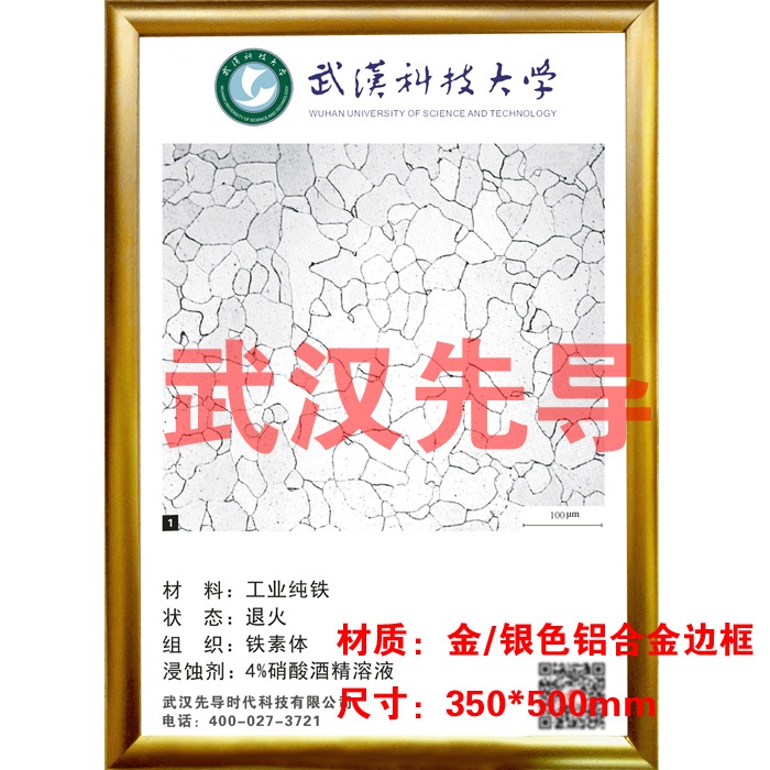 金相組織掛圖圖片/金相組織掛圖樣板圖 (1)