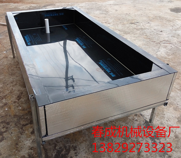 龜苗圖片/龜苗樣板圖 (4)