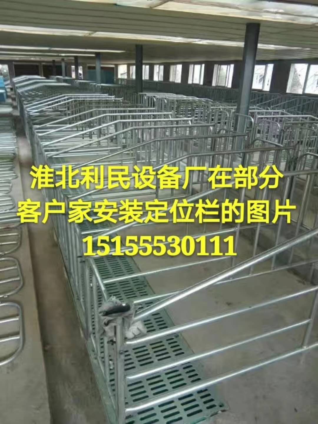 養(yǎng)豬產(chǎn)床設(shè)備價(jià)格