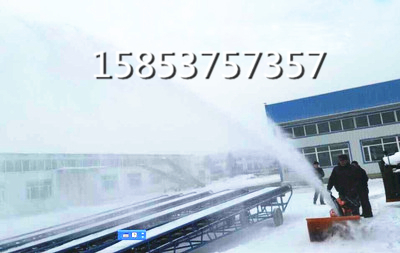 手推掃雪機(jī)路面拋雪機(jī)圖片/手推掃雪機(jī)路面拋雪機(jī)樣板圖 (2)