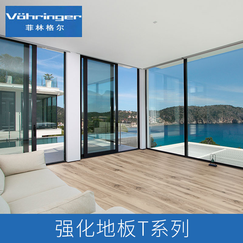菲林格爾強化地板T系列產(chǎn)品圖片/菲林格爾強化地板T系列產(chǎn)品樣板圖 (4)