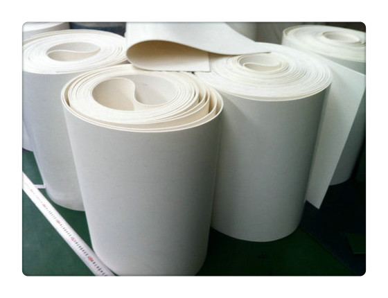 PVC輸送帶圖片/PVC輸送帶樣板圖 (3)