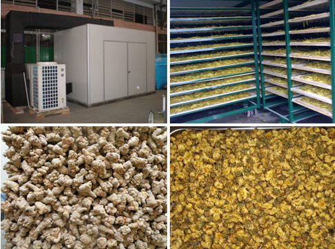 高溫?zé)岜卯?dāng)歸烘干機(jī) 節(jié)能藥材烘干圖片/高溫?zé)岜卯?dāng)歸烘干機(jī) 節(jié)能藥材烘干樣板圖 (2)