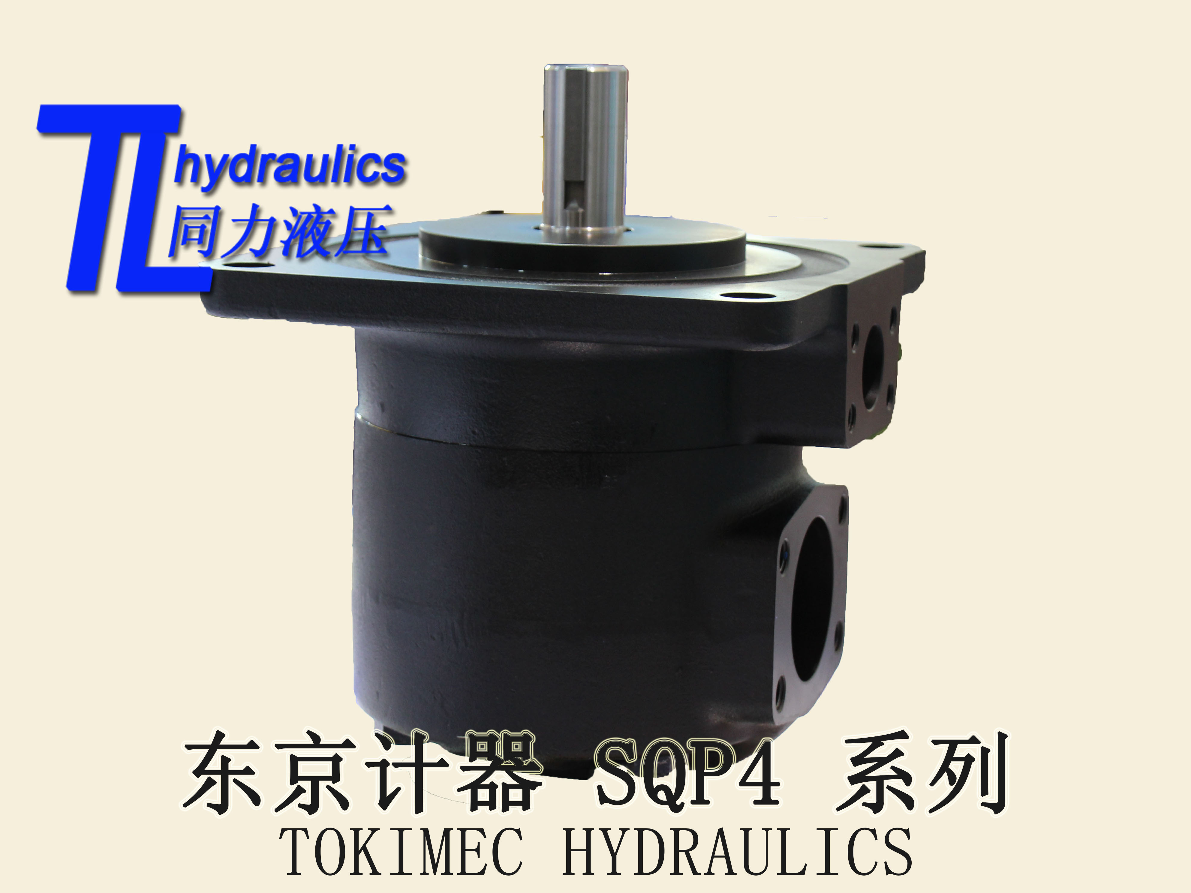 葉片泵圖片/葉片泵樣板圖 (1)