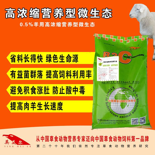 微生態(tài)圖片/微生態(tài)樣板圖 (2)