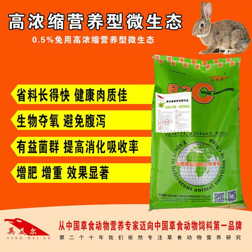 微生態(tài)圖片/微生態(tài)樣板圖 (3)