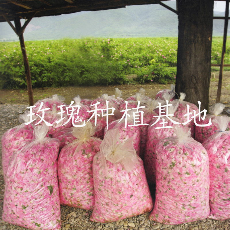 精油圖片/精油樣板圖 (2)