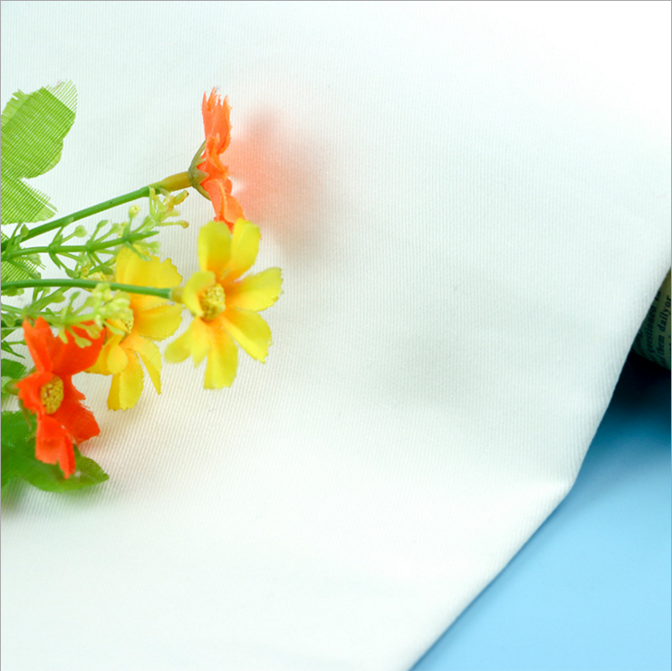 紗卡圖片/紗卡樣板圖 (1)