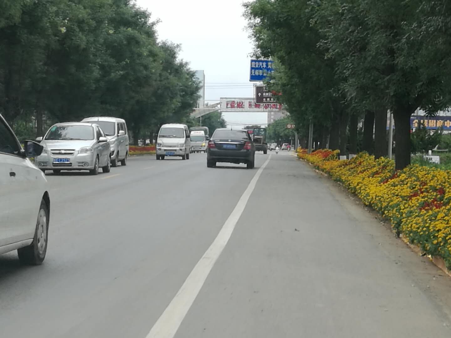 西安專業(yè)綠植擺租公司圖片/西安專業(yè)綠植擺租公司樣板圖 (2)