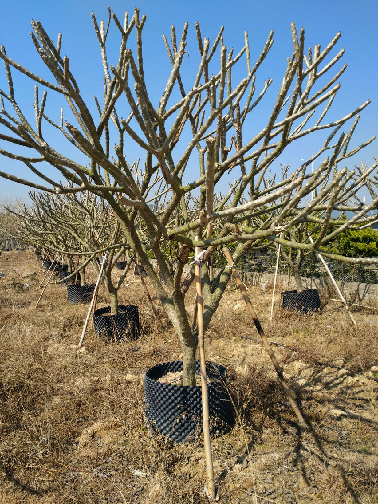 福建省圖片/福建省樣板圖 (2)