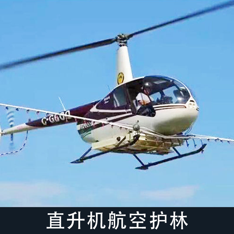 供應(yīng)直升機(jī)航空護(hù)林 空中消防直升飛機(jī)出租 森林火災(zāi)防護(hù) 價(jià)格實(shí)惠圖片