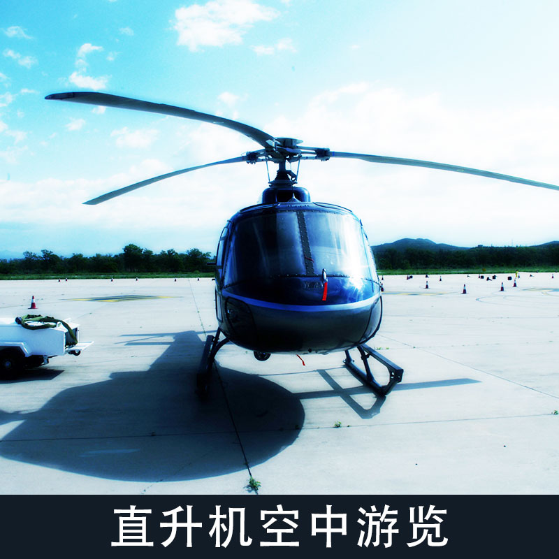 雙發(fā)重型直升機(jī)圖片/雙發(fā)重型直升機(jī)樣板圖 (4)