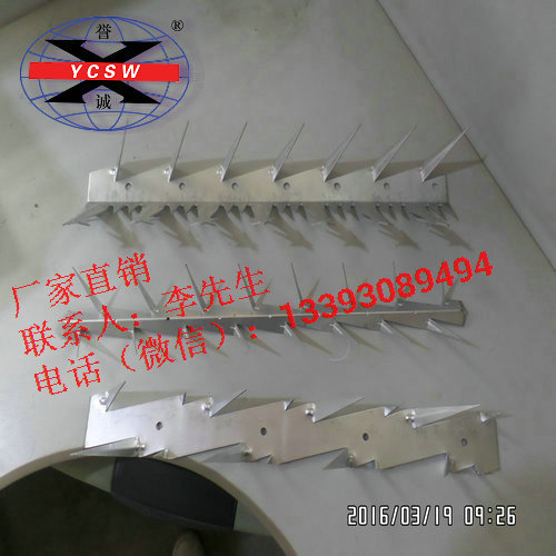 鍍鋅刺釘圖片/鍍鋅刺釘樣板圖 (2)