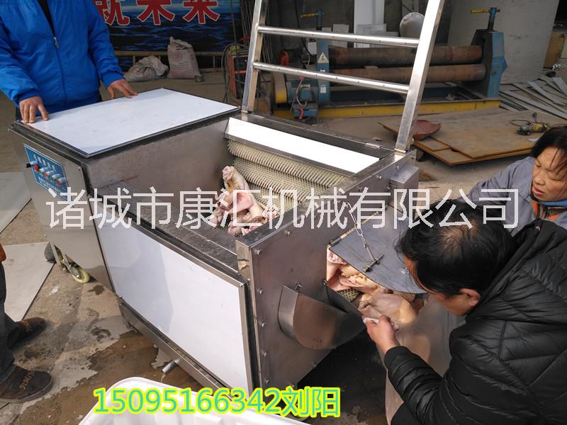 豬頭豬蹄清洗機圖片