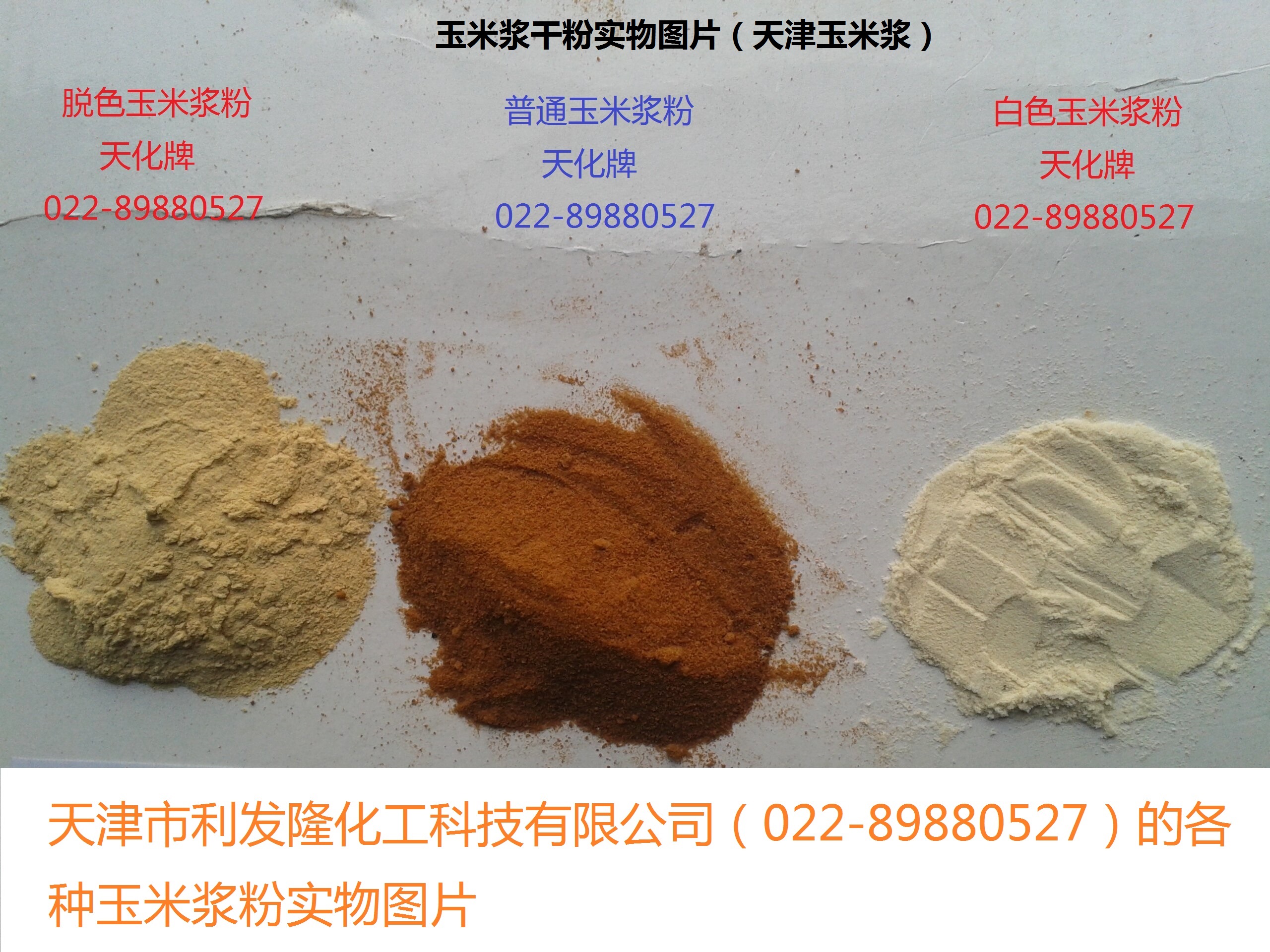 白色玉米圖片/白色玉米樣板圖 (2)