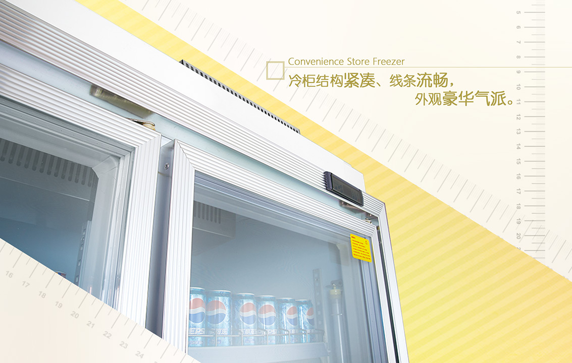 廣州便利店四門平頭展示冰柜圖片/廣州便利店四門平頭展示冰柜樣板圖 (2)
