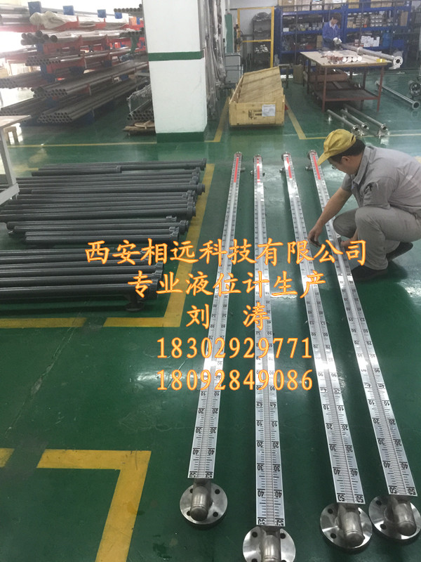 新疆防腐型304襯PTFE液位計圖片/新疆防腐型304襯PTFE液位計樣板圖 (4)