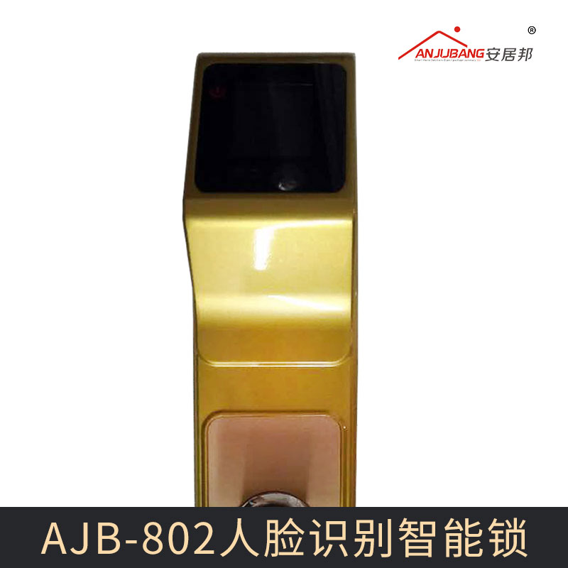 AJB-802人脸识别智能锁图片