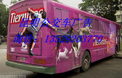 昆明公交車(chē)媒體圖片/昆明公交車(chē)媒體樣板圖 (1)