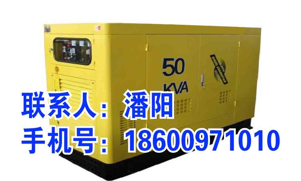 發(fā)電機(jī)租賃圖片/發(fā)電機(jī)租賃樣板圖 (4)