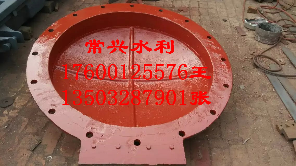 天津300拍門供應(yīng)商圖片/天津300拍門供應(yīng)商樣板圖 (4)