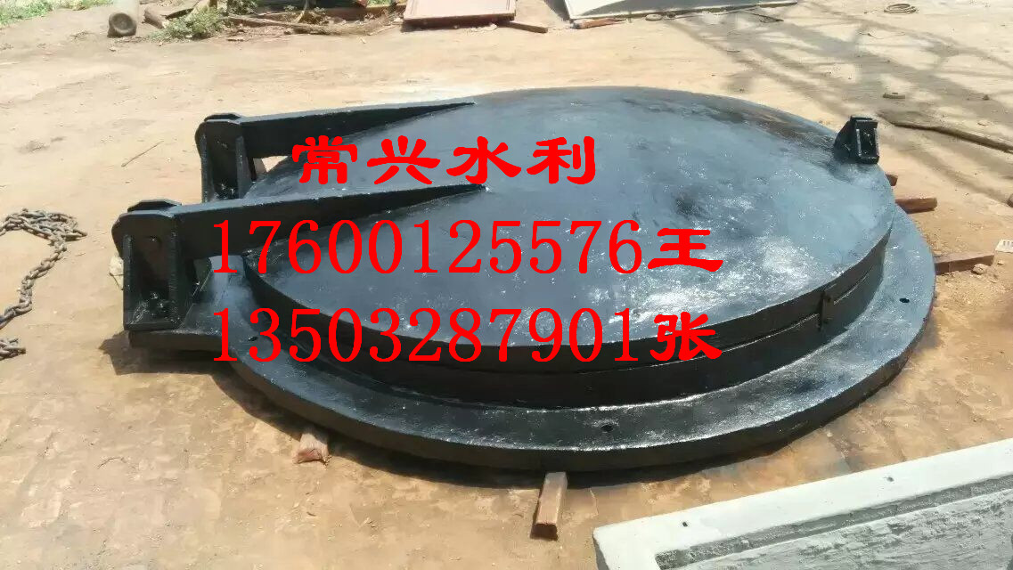 天津300拍門供應(yīng)商