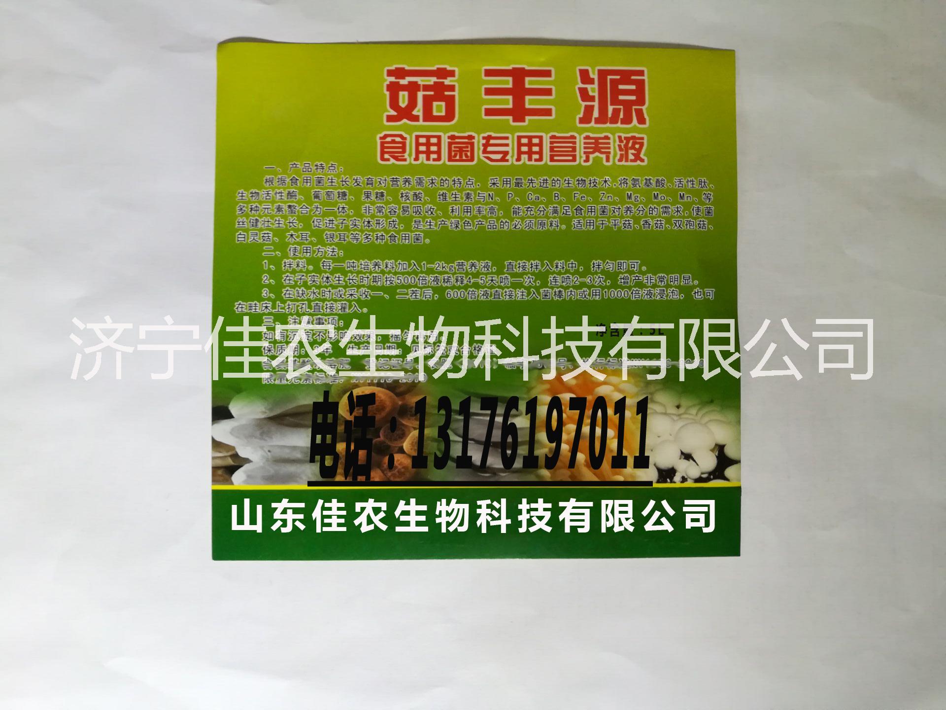供應 菇豐源 食用菌大棚批發(fā)銷售圖片/供應 菇豐源 食用菌大棚批發(fā)銷售樣板圖 (2)