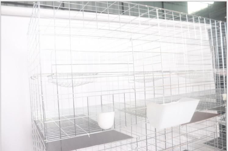 籠養(yǎng)殖圖片/籠養(yǎng)殖樣板圖 (2)