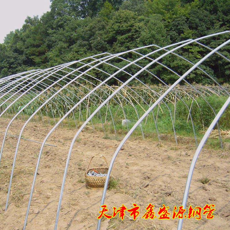 大棚骨架圖片