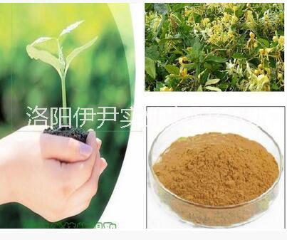 供應(yīng)植物提取物圖片/供應(yīng)植物提取物樣板圖 (2)