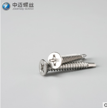 自攻螺絲圖片/自攻螺絲樣板圖 (4)