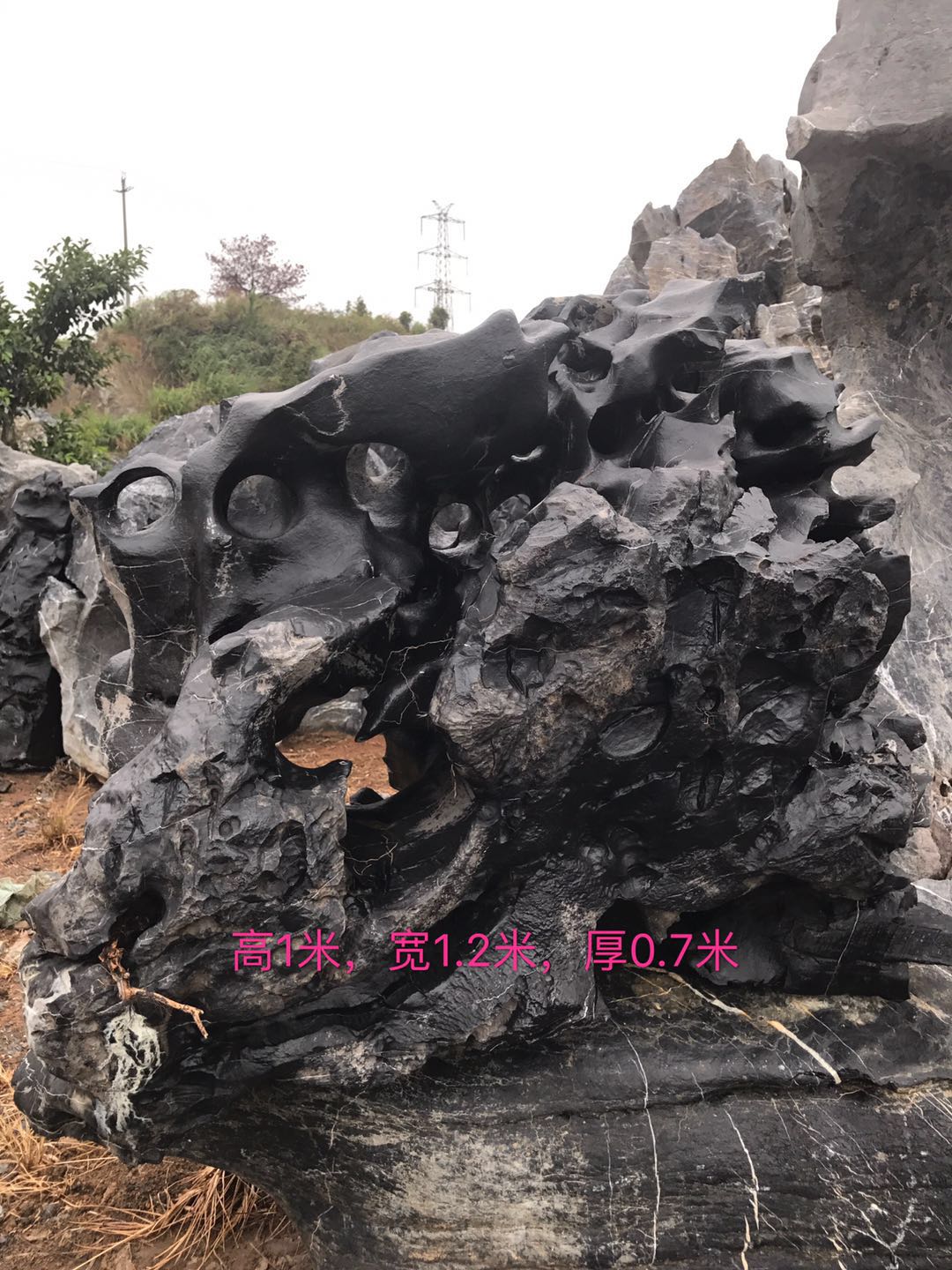 景觀石圖片/景觀石樣板圖 (2)