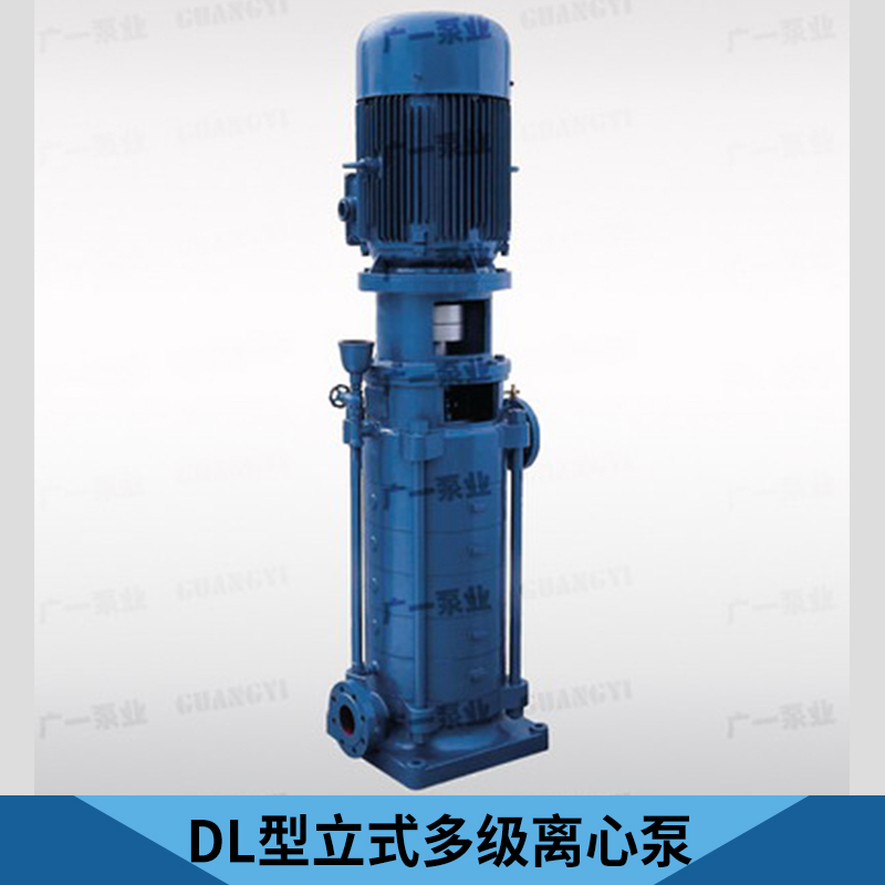 DL型立式多級離心泵圖片/DL型立式多級離心泵樣板圖 (4)