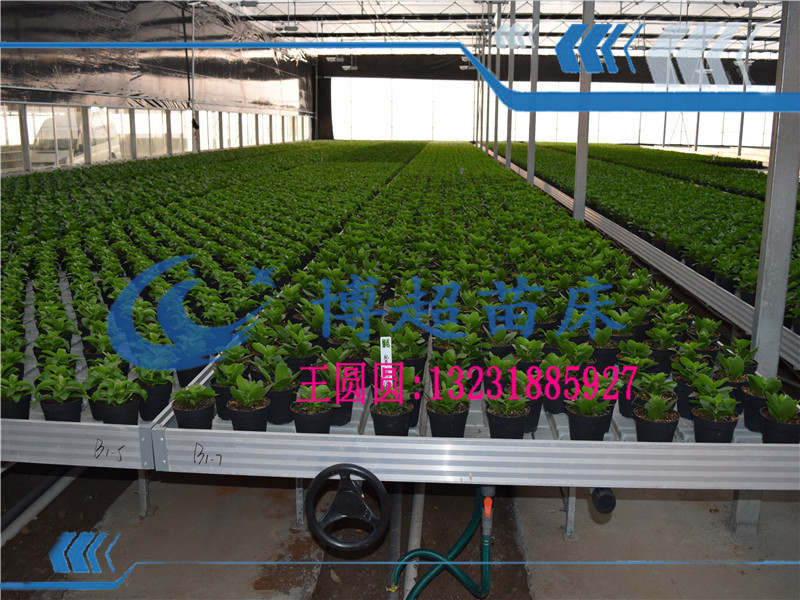 苗床圖片/苗床樣板圖 (4)