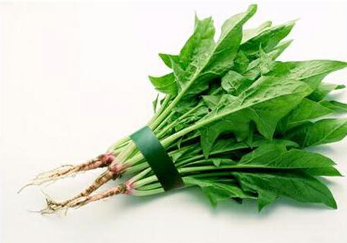 深圳佳惠鮮送菜公司 蔬菜批發(fā)配送 新鮮蔬菜