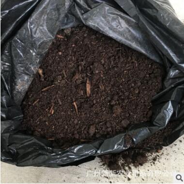 泥炭土圖片/泥炭土樣板圖 (2)