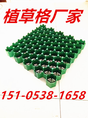 綠化植草格圖片