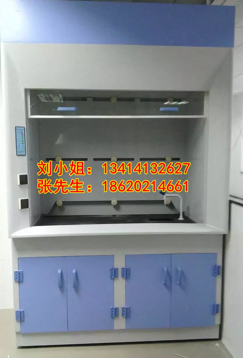 廣東實(shí)驗(yàn)通風(fēng)柜 通風(fēng)櫥價(jià)格 化驗(yàn)室通風(fēng)柜廠商供應(yīng)