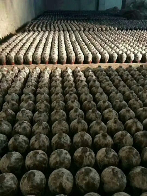 洞藏酒老酒白酒.圖片/洞藏酒老酒白酒.樣板圖 (3)