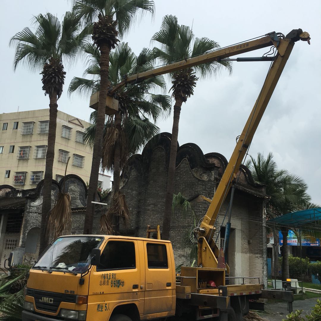 吊籃車圖片/吊籃車樣板圖 (2)