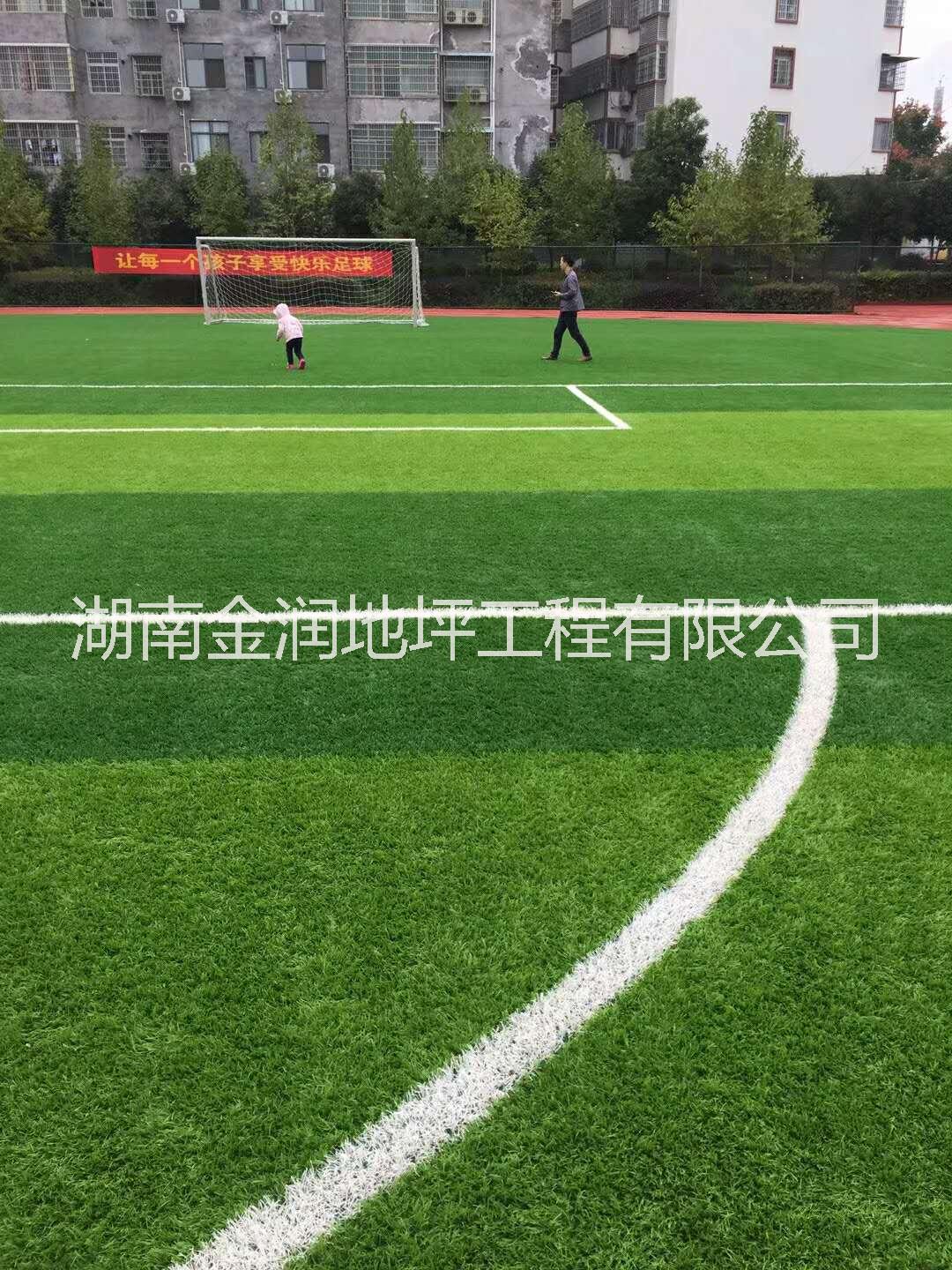 人造草圖片/人造草樣板圖 (3)
