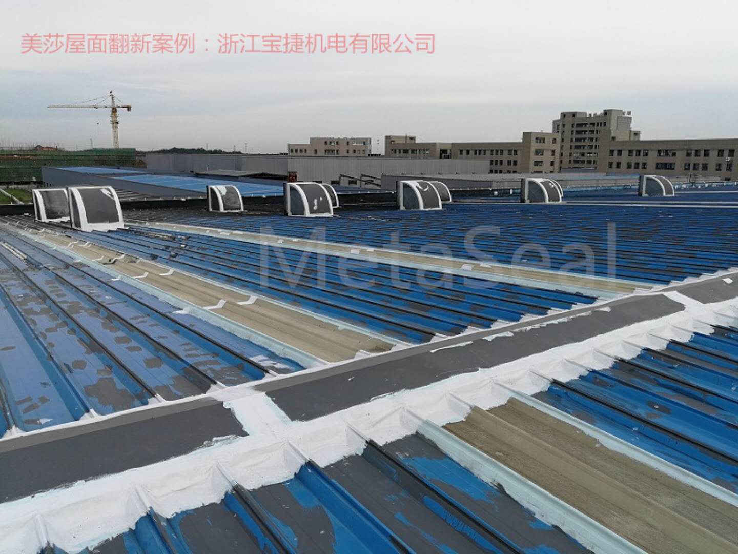 屋面翻新圖片/屋面翻新樣板圖 (3)