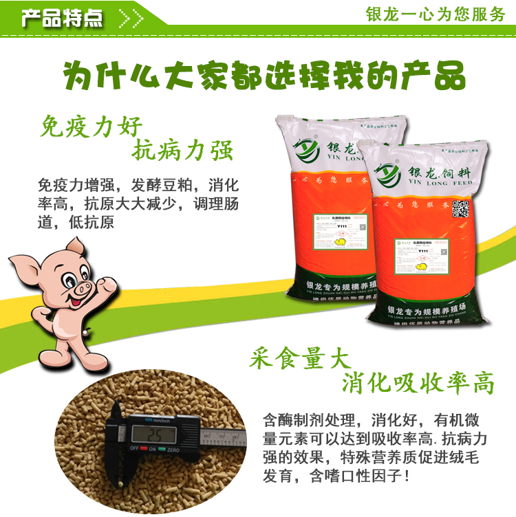 乳豬圖片/乳豬樣板圖 (1)