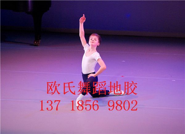 舞蹈房地板圖片/舞蹈房地板樣板圖 (3)
